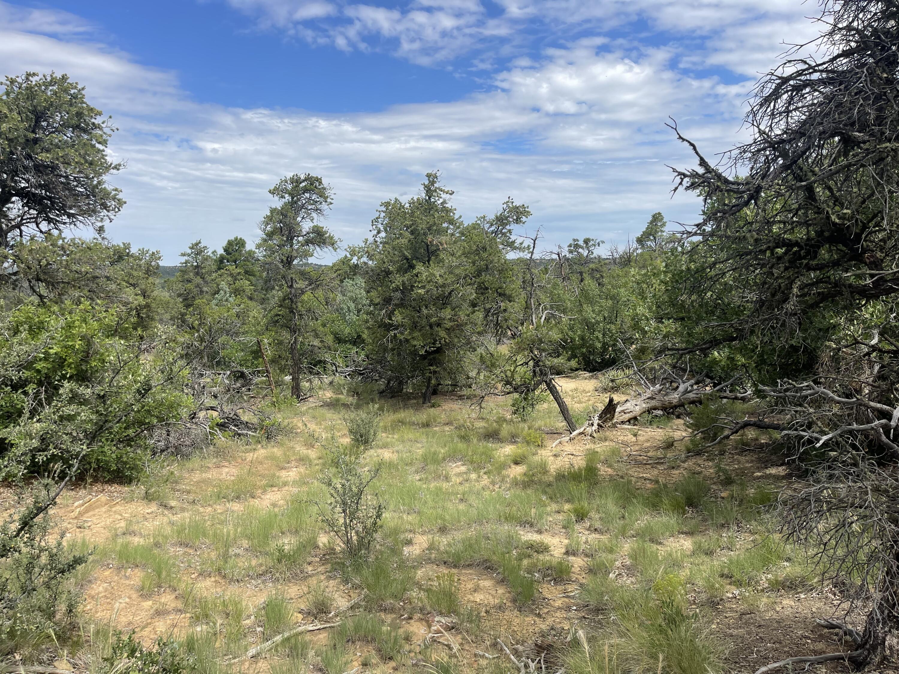 Lot 48 Ridge Road, Ramah, New Mexico image 10