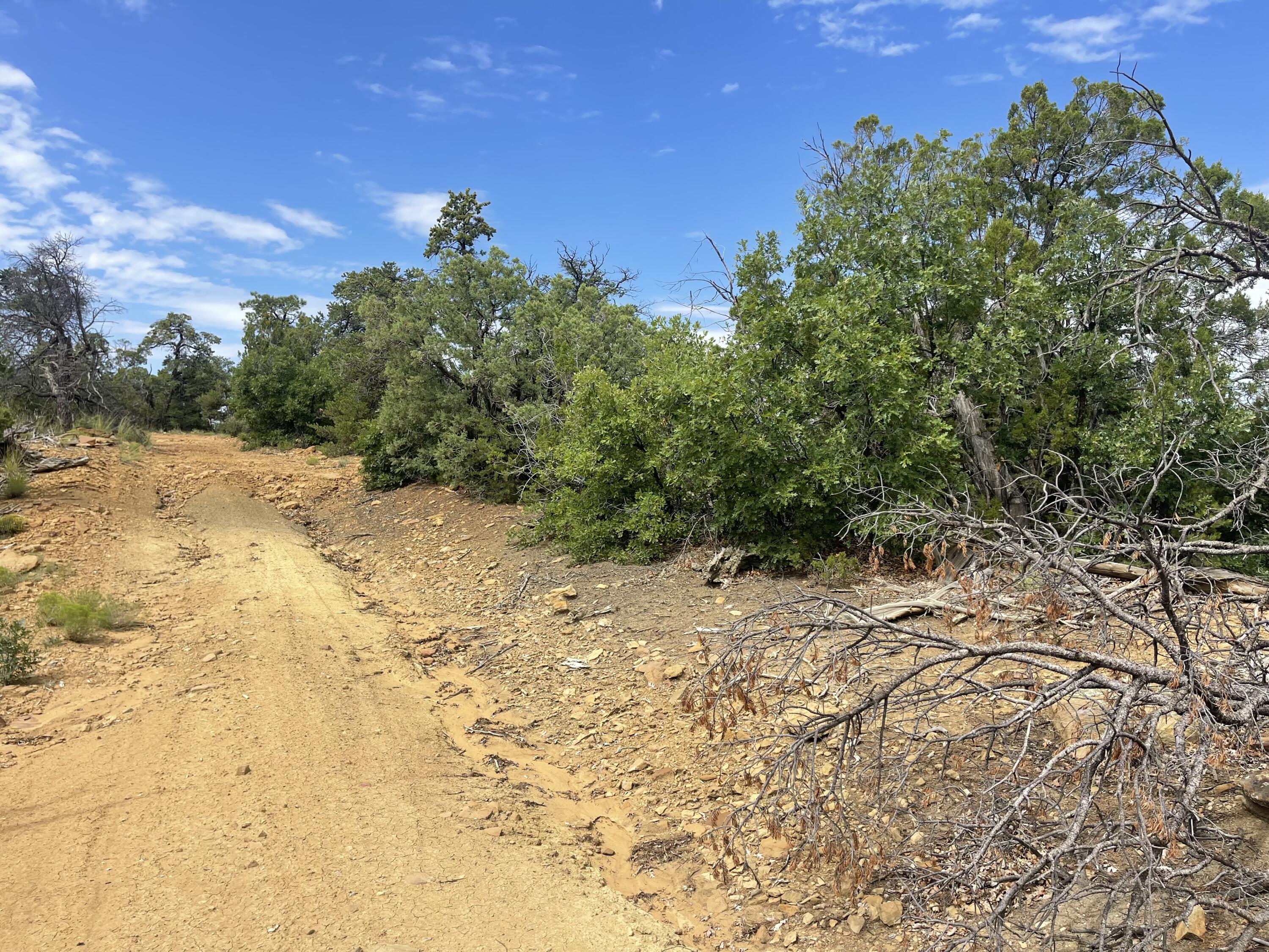 Lot 48 Ridge Road, Ramah, New Mexico image 4