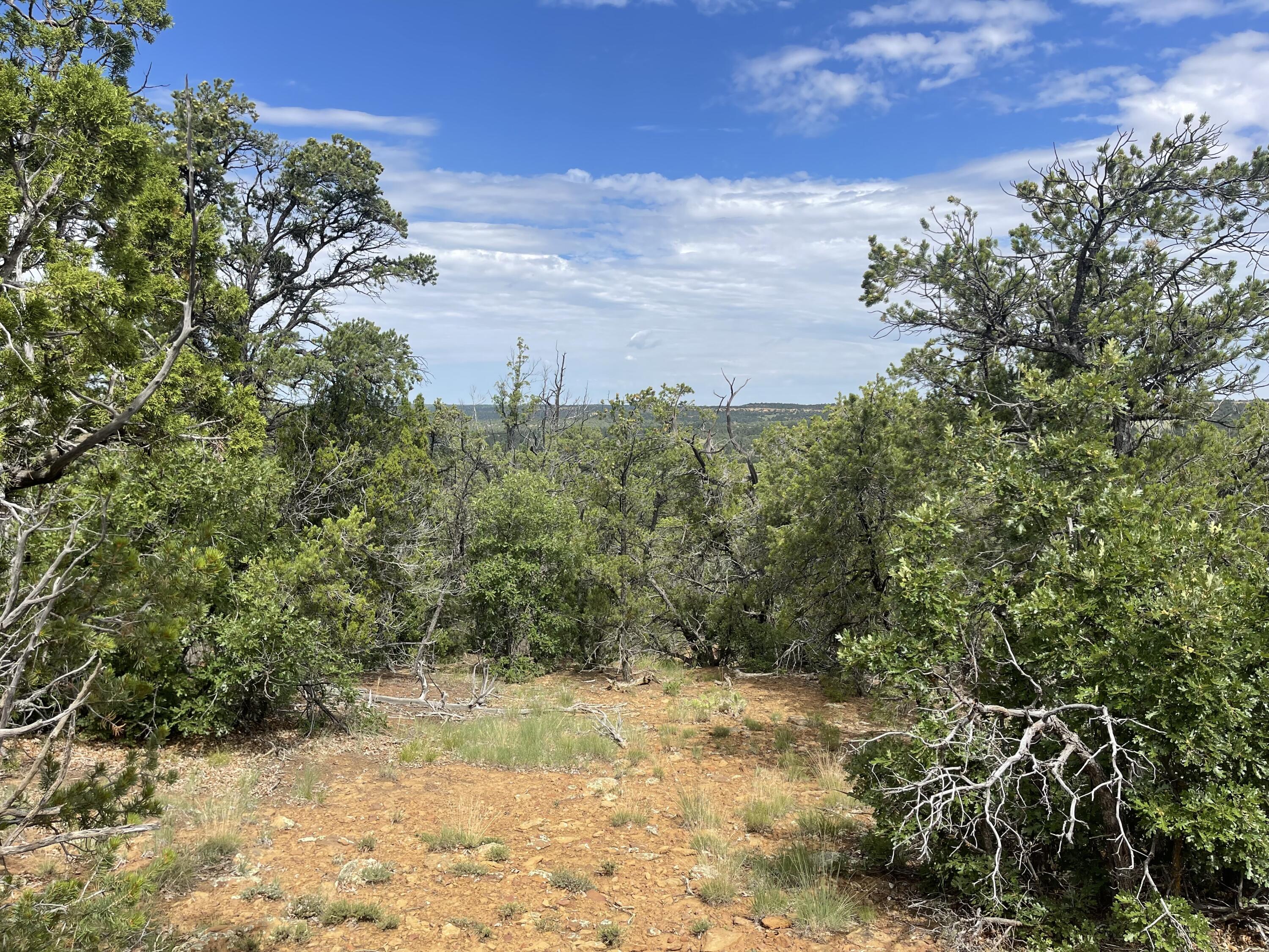 Lot 48 Ridge Road, Ramah, New Mexico image 5