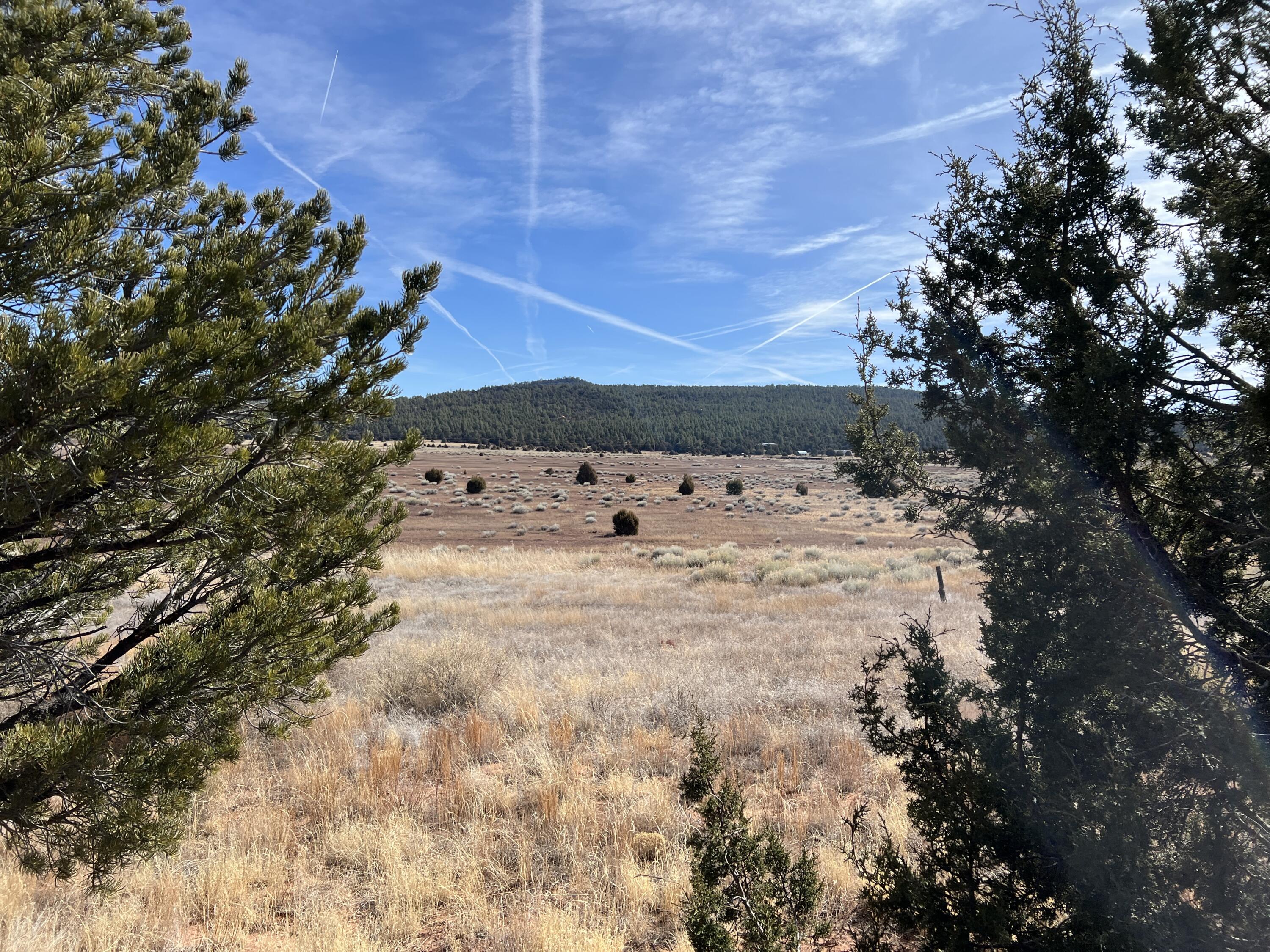 Lot 5-A Box S Ranch Road, Ramah, New Mexico image 13