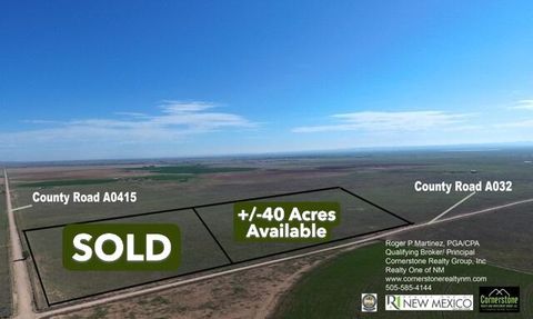 Vacant Land For Sale - LANGLEY Langley Tract 2 40acre<br/> Torrance County, Estancia, NM 87016