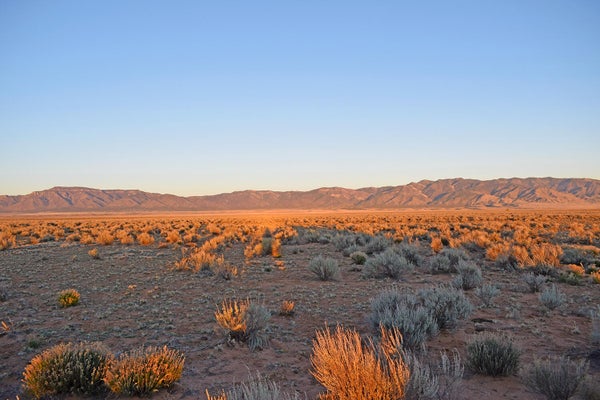 18 RANCHERO RD, LOS LUNAS, NM 87031 - Image 8bd7dd3e3d6d965d06aff6afcd576fe9/99674734