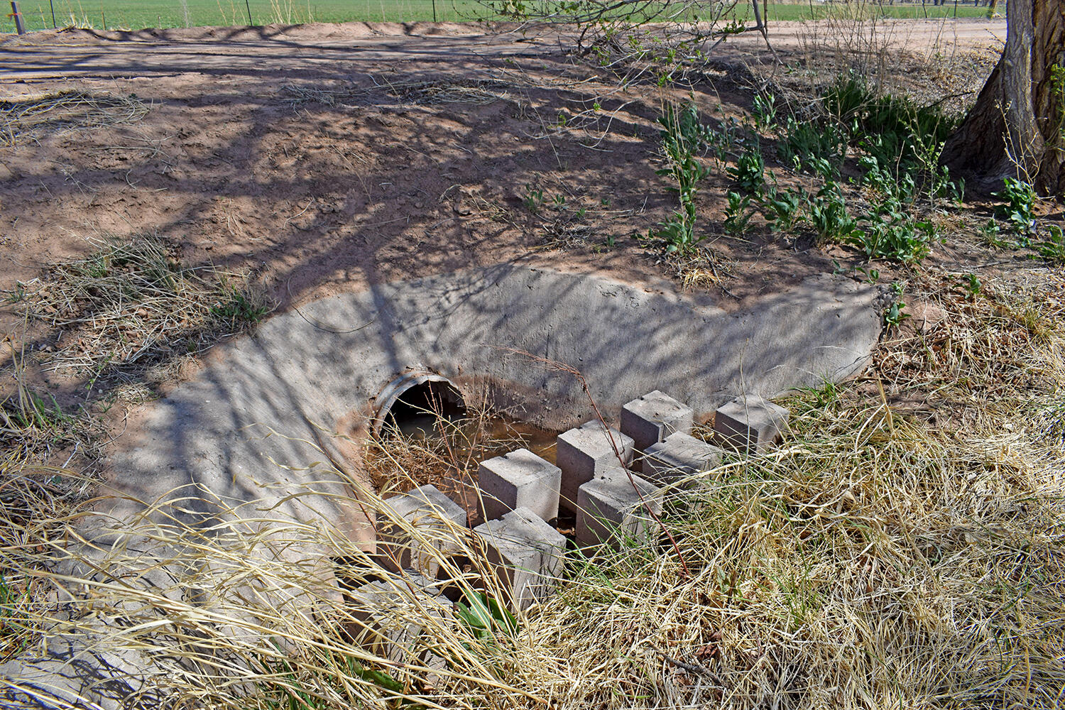 6 Ortega Road, Los Lunas, New Mexico image 27
