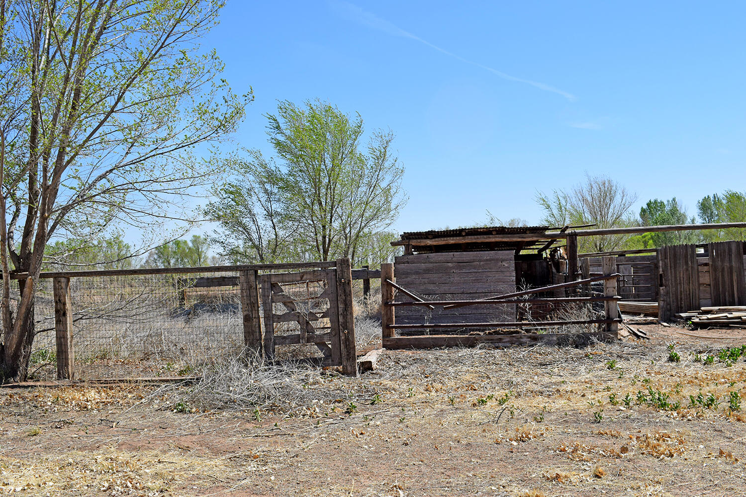 6 Ortega Road, Los Lunas, New Mexico image 30