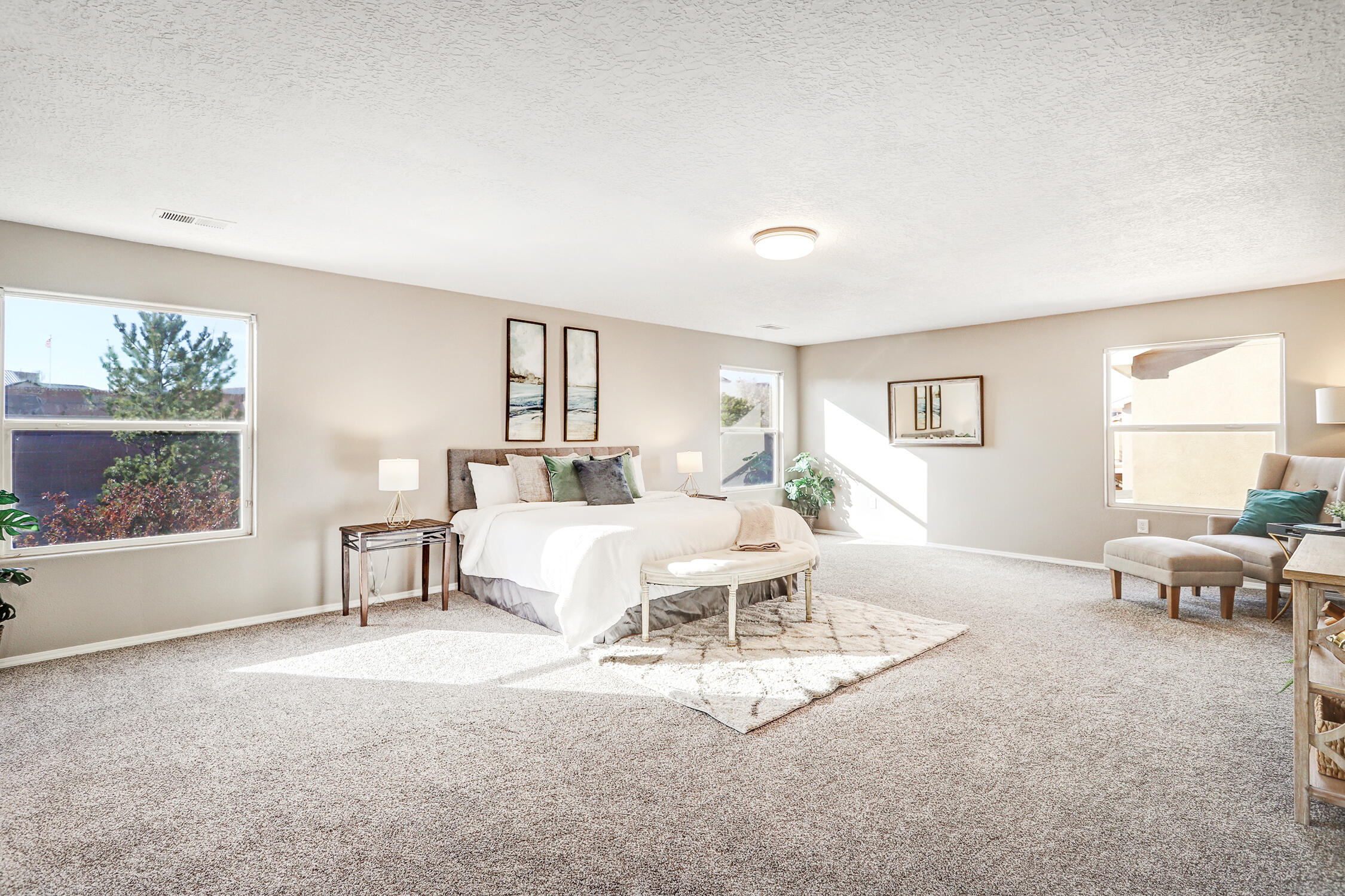 1230 Colibri Avenue, Los Lunas, New Mexico image 20