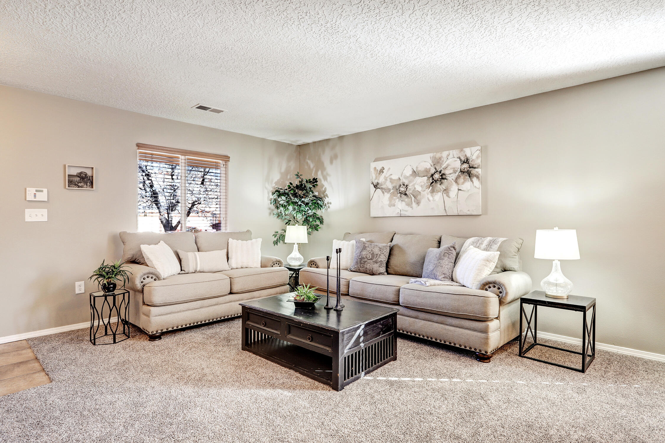 1230 Colibri Avenue, Los Lunas, New Mexico image 5