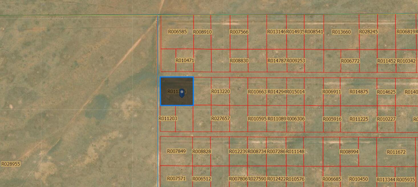 Estancia Ranchettes, Moriarty, New Mexico image 6