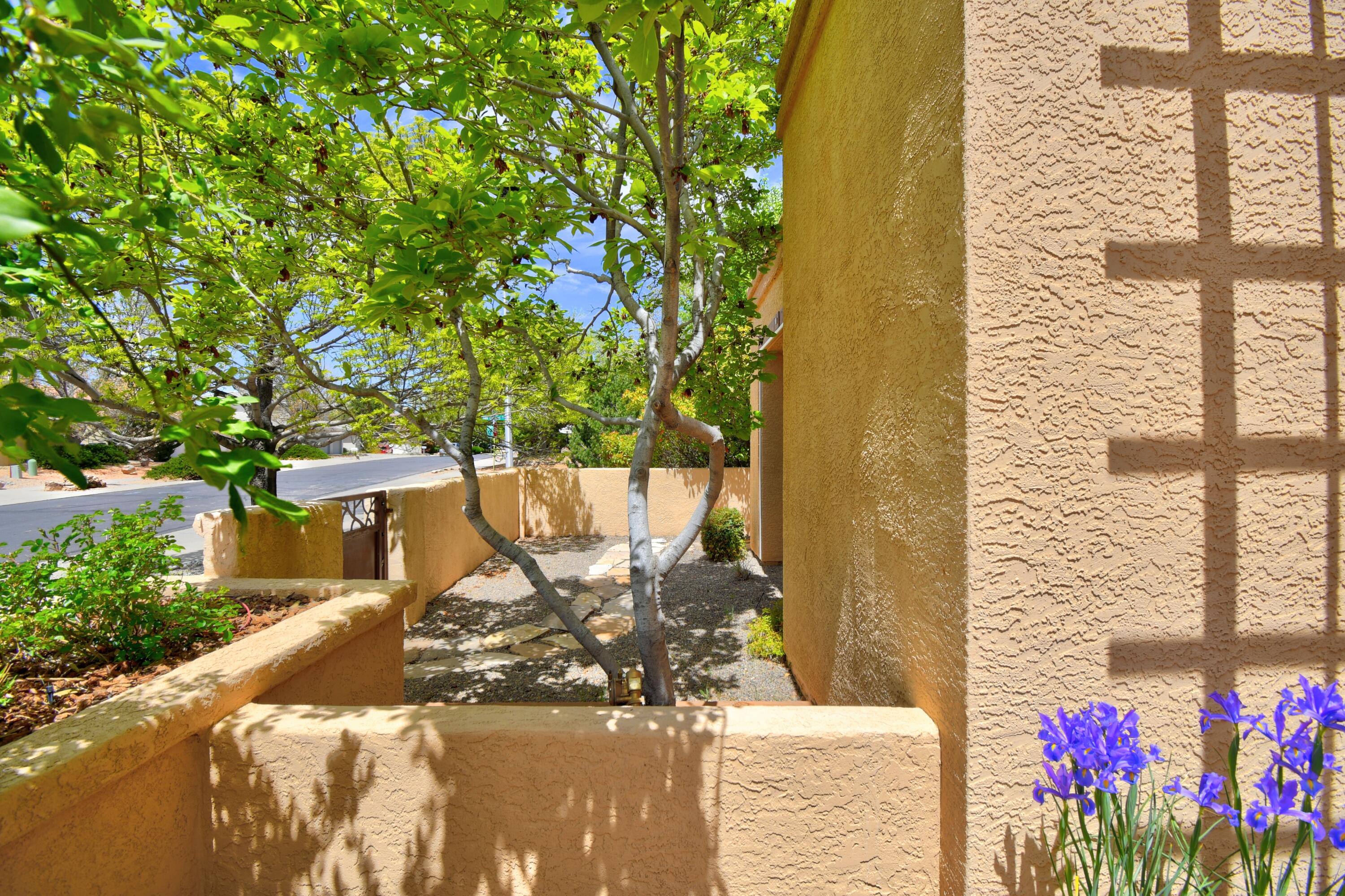 12324 Tamarac Trail, Albuquerque, New Mexico image 3