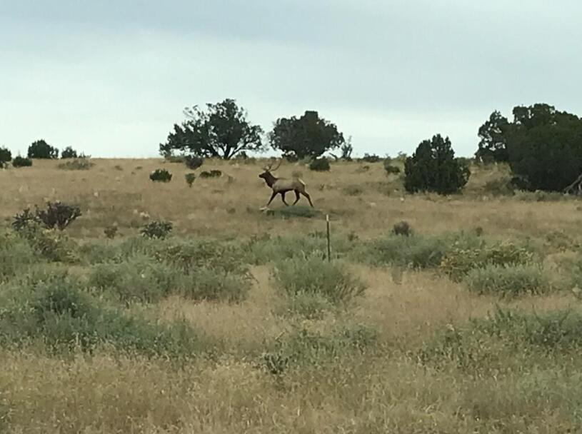 69 Round Top Rd, Mountainair, New Mexico image 42