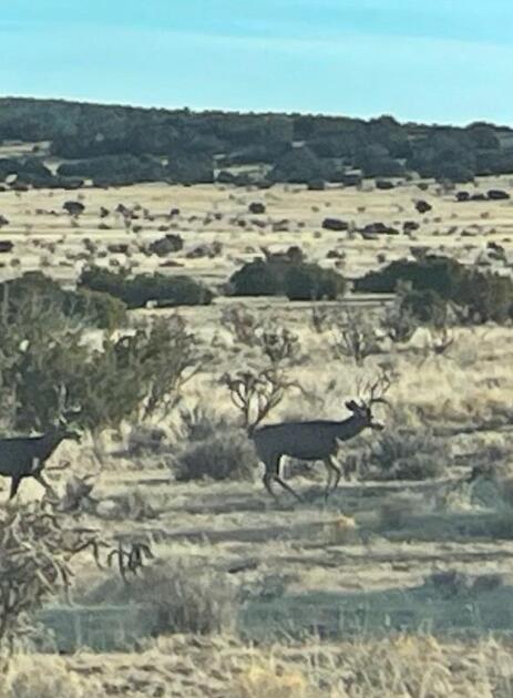 69 Round Top Rd, Mountainair, New Mexico image 43