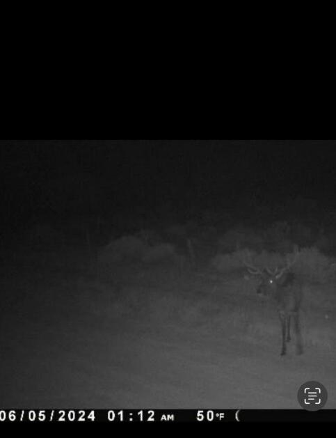 69 Round Top Rd, Mountainair, New Mexico image 41