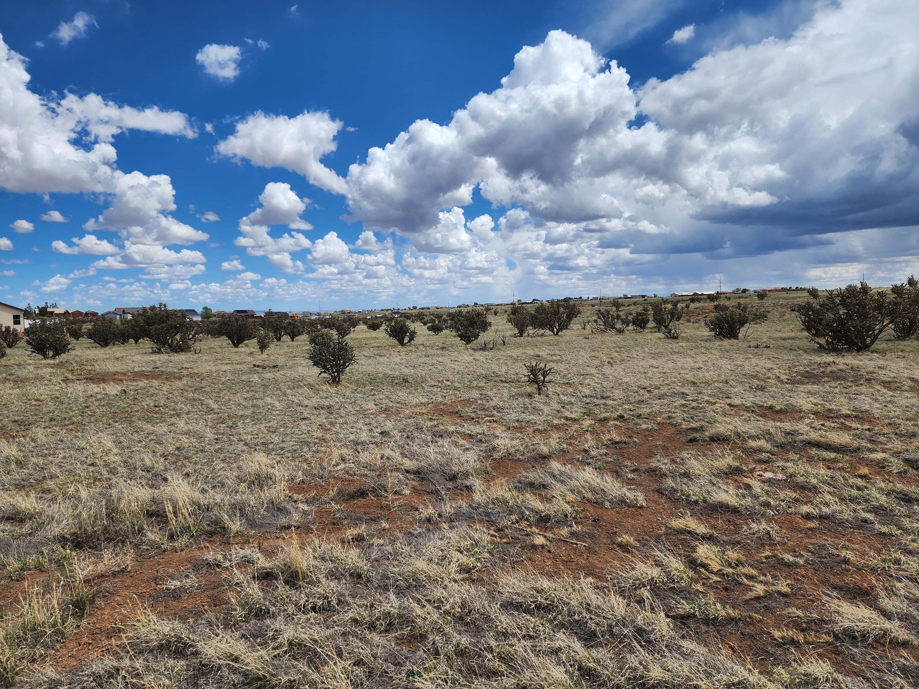16 Half Moon Road, Edgewood, New Mexico image 3