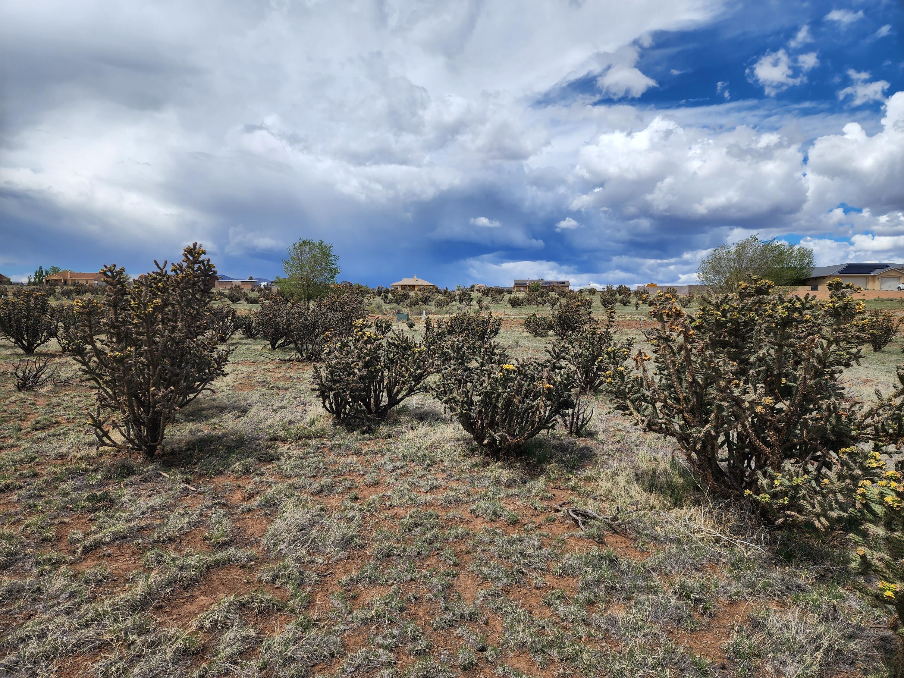 16 Half Moon Road, Edgewood, New Mexico image 7