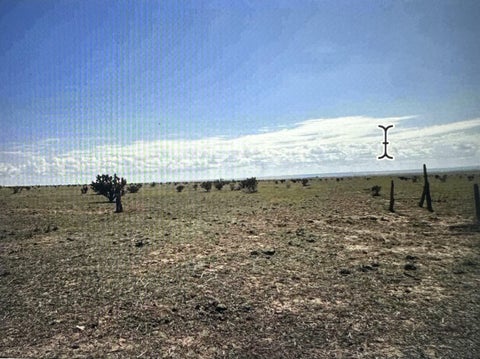 Vacant Land For Sale - 101 A Jacobs Road<br/> Santa Fe County, Edgewood, NM 87015