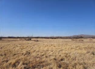 San Pedro Ranch, San Antonio, New Mexico image 4