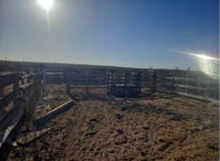 San Pedro Ranch, San Antonio, New Mexico image 10
