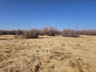 San Pedro Ranch, San Antonio, New Mexico image 3