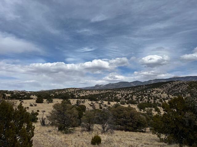 Lot 5 Magdalena Mountain Ranch, Magdalena, New Mexico image 14