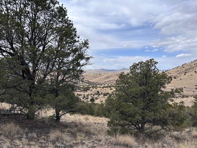 Lot 5 Magdalena Mountain Ranch, Magdalena, New Mexico image 12