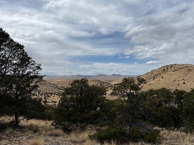 Lot 5 Magdalena Mountain Ranch, Magdalena, New Mexico image 4