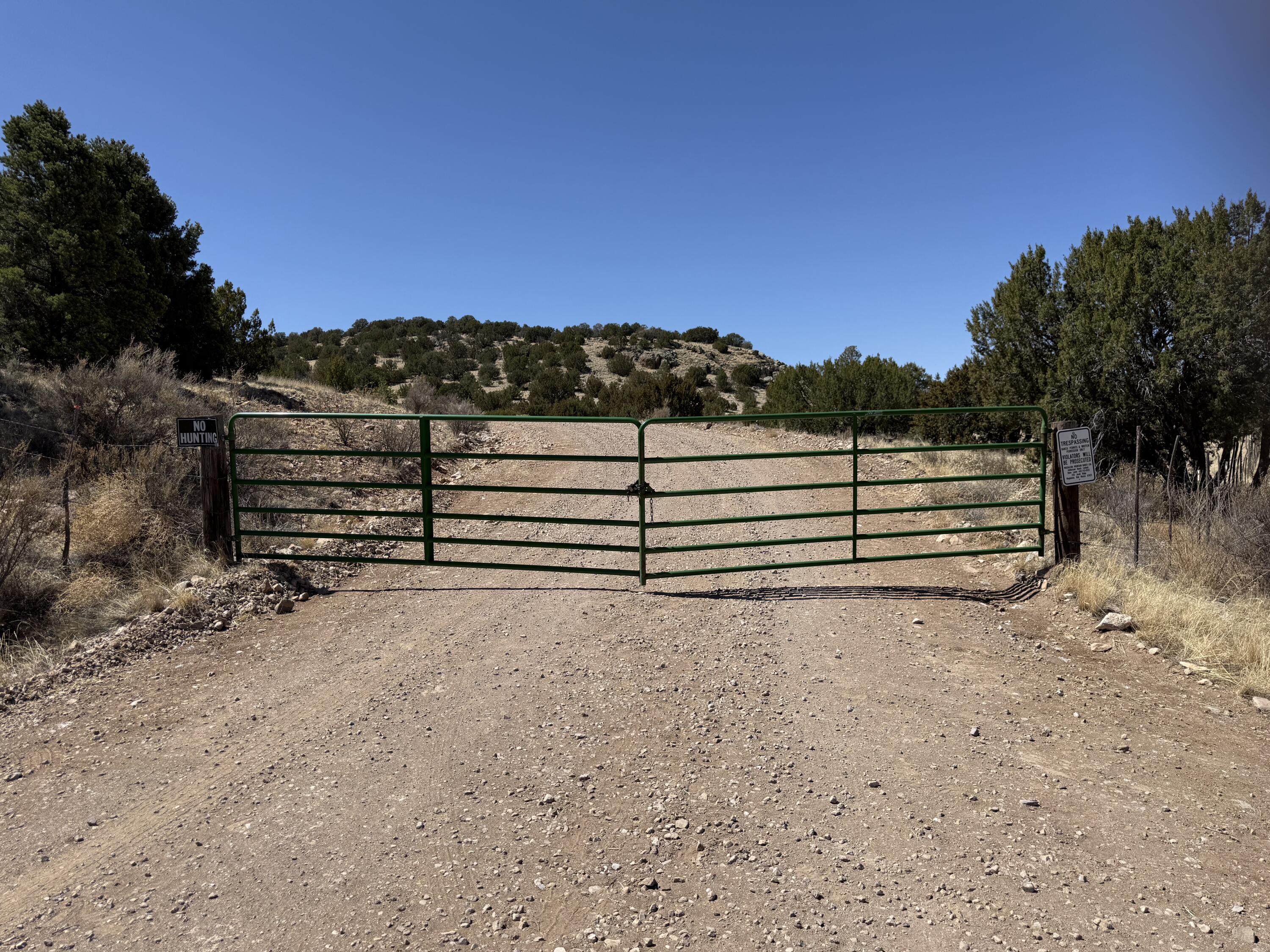 Lot 5 Magdalena Mountain Ranch, Magdalena, New Mexico image 19