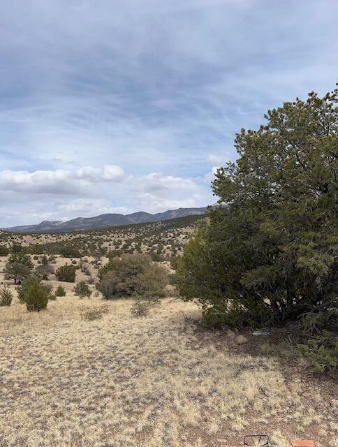 Lot 5 Magdalena Mountain Ranch, Magdalena, New Mexico image 9