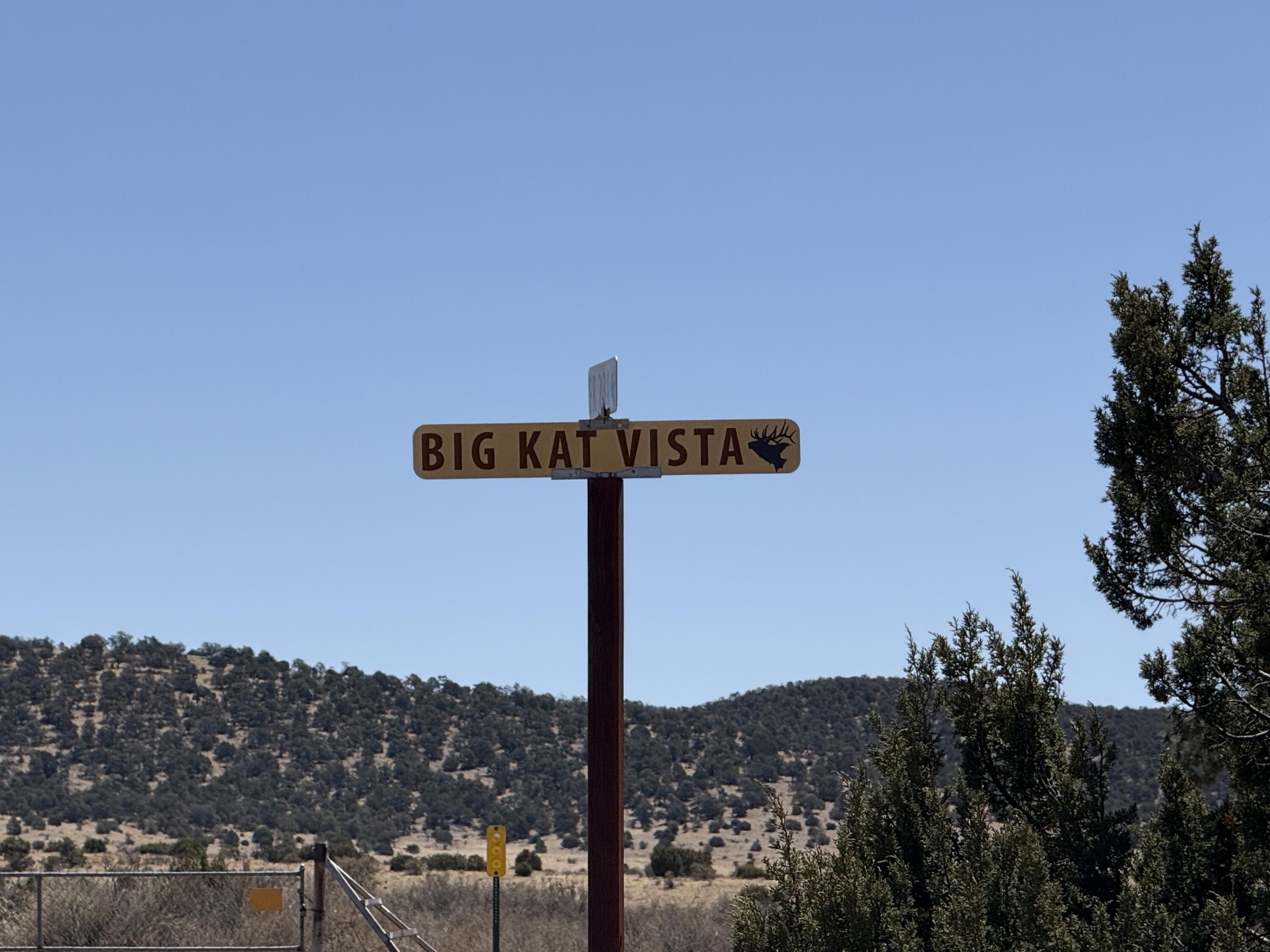 Lot 5 Magdalena Mountain Ranch, Magdalena, New Mexico image 17