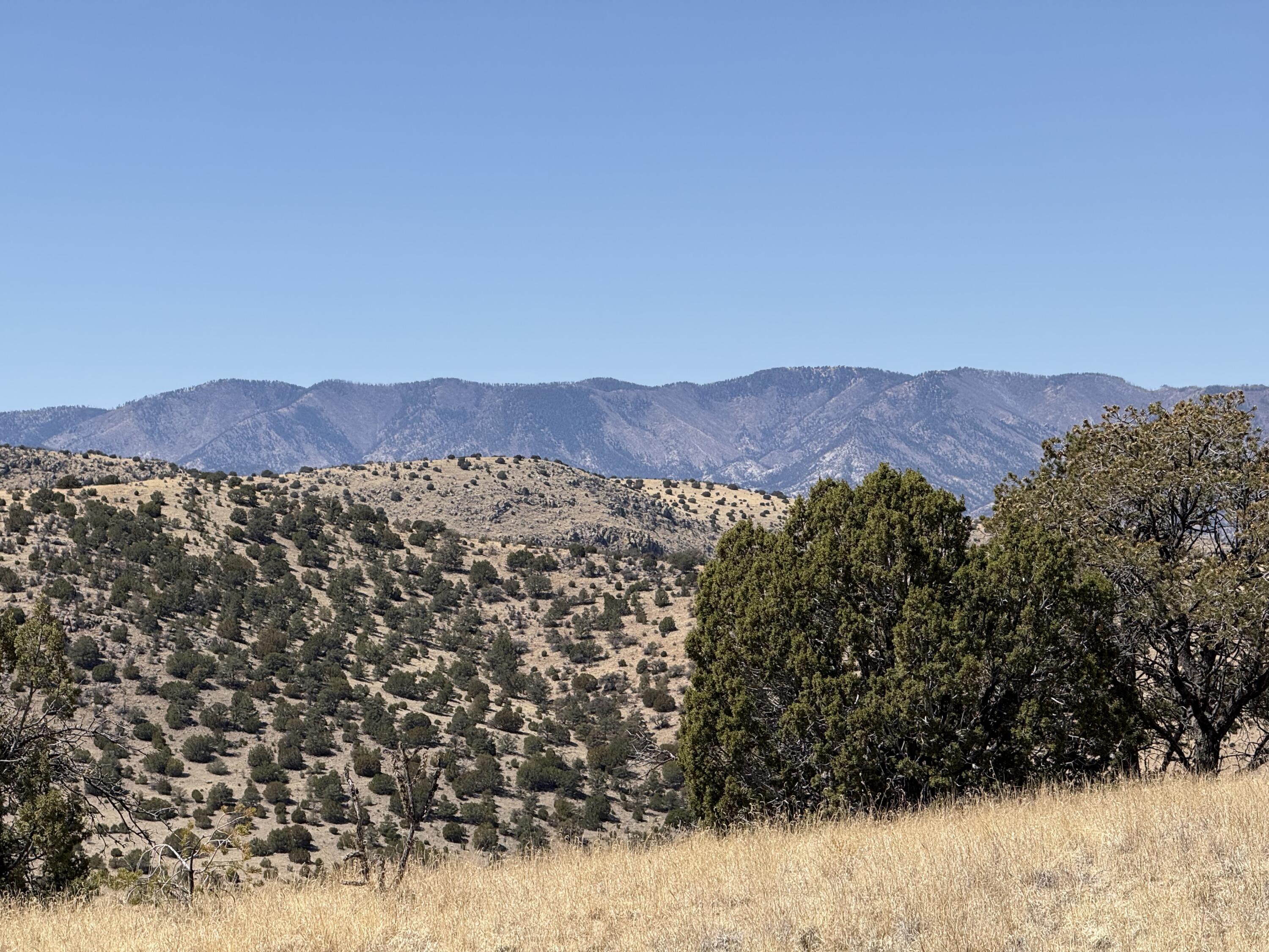 Lot 5 Magdalena Mountain Ranch, Magdalena, New Mexico image 16