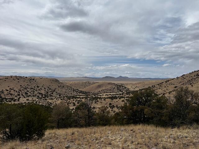 Lot 5 Magdalena Mountain Ranch, Magdalena, New Mexico image 8