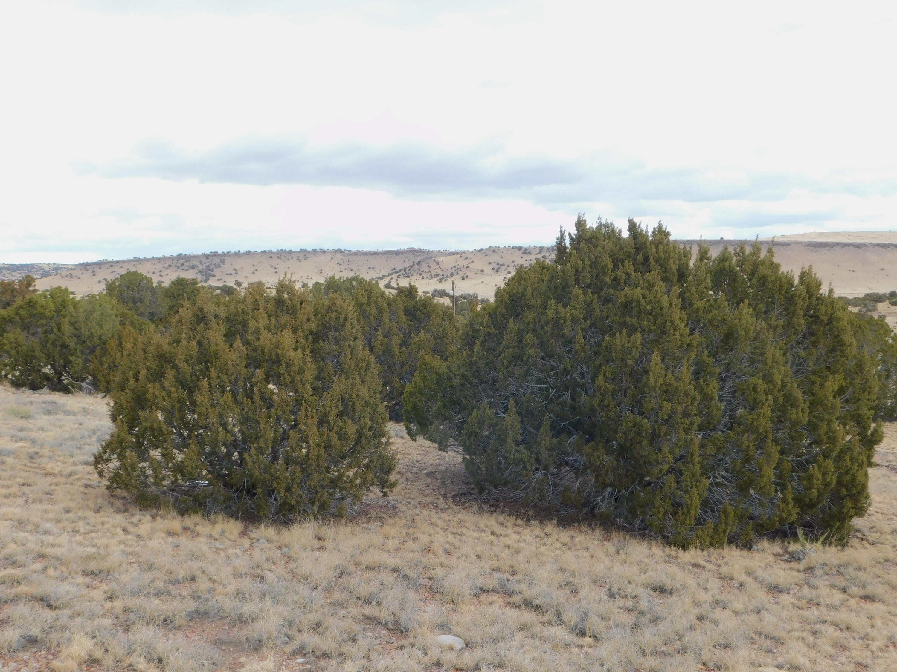 52 & 62 Wildflower Trail