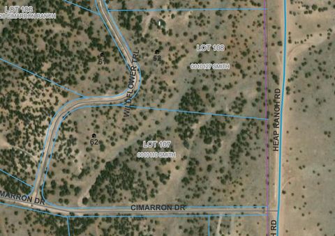 Vacant Land For Sale - 52 & 62 Wildflower Trail<br/> Quemado, NM 87829