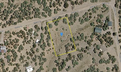 Vacant Land For Sale - 23 Christy Lane<br/> Los Ojos, NM 87551