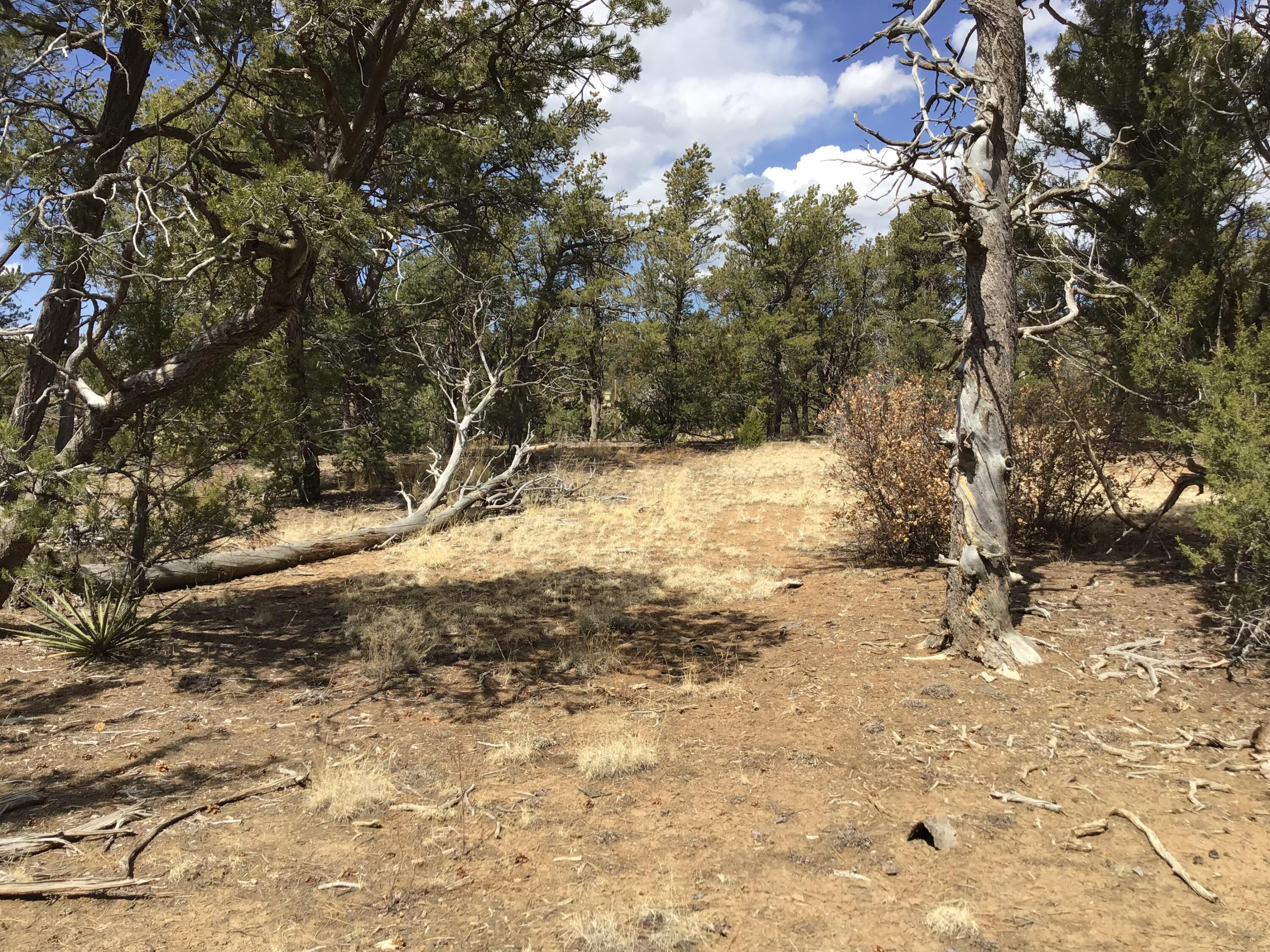 Lot 17 Candy Kitchen Road, Ramah, New Mexico image 30