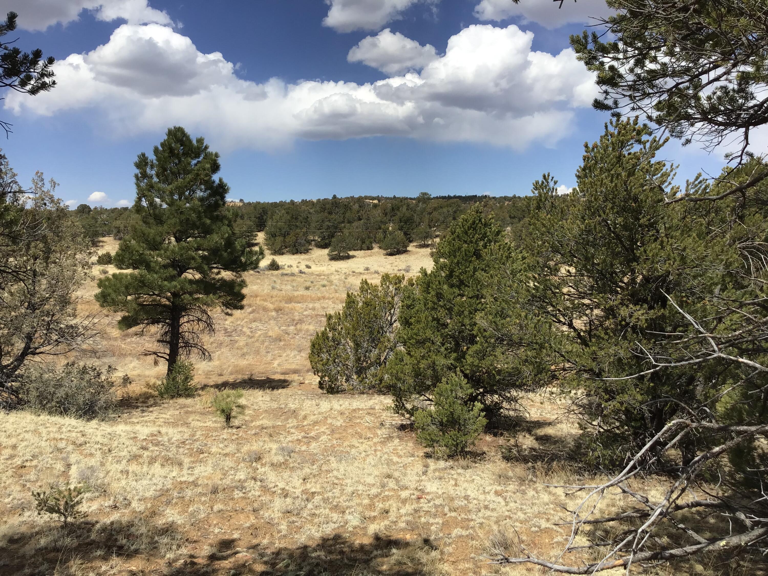 Lot 17 Candy Kitchen Road, Ramah, New Mexico image 9