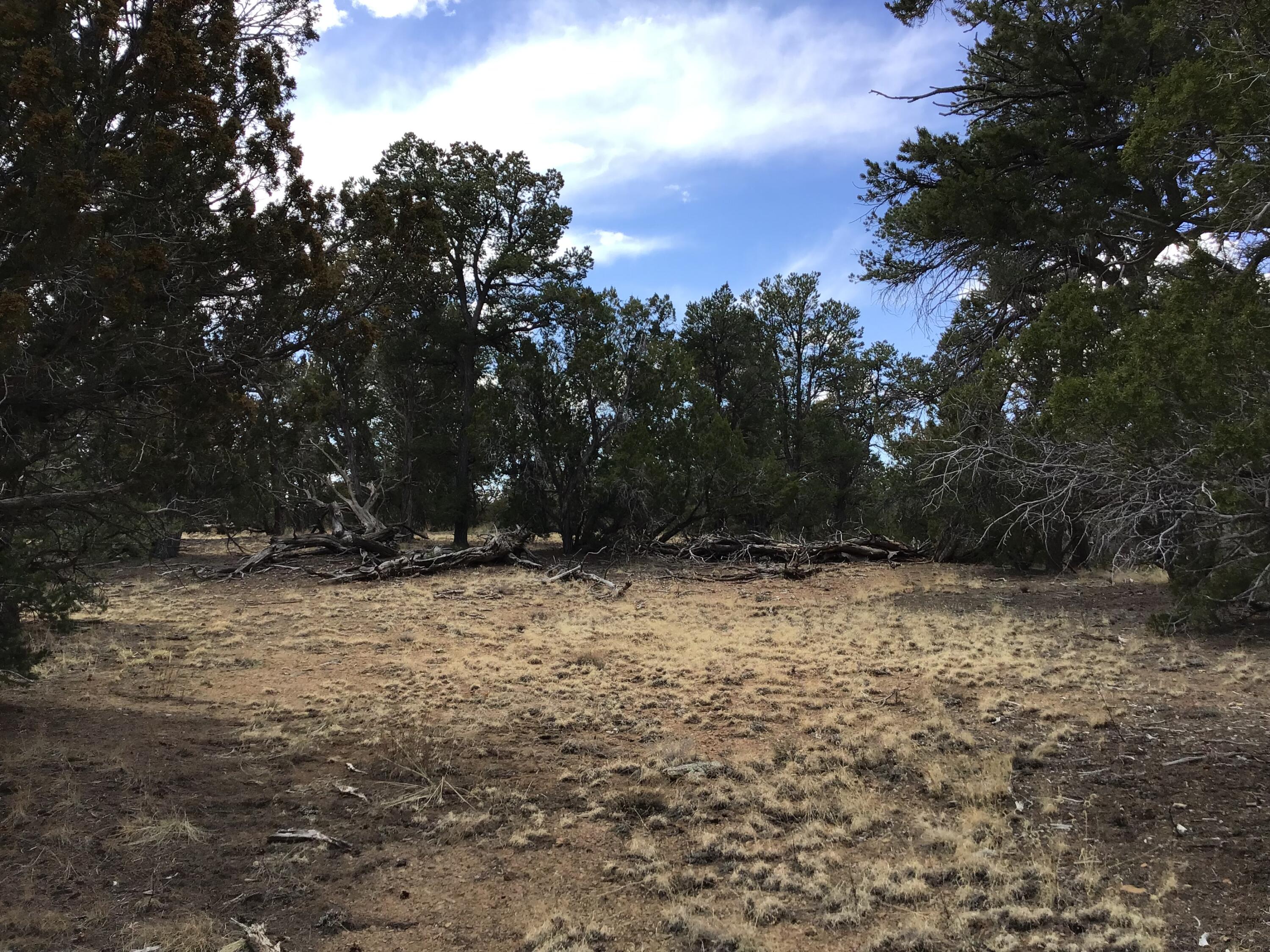 Lot 17 Candy Kitchen Road, Ramah, New Mexico image 24