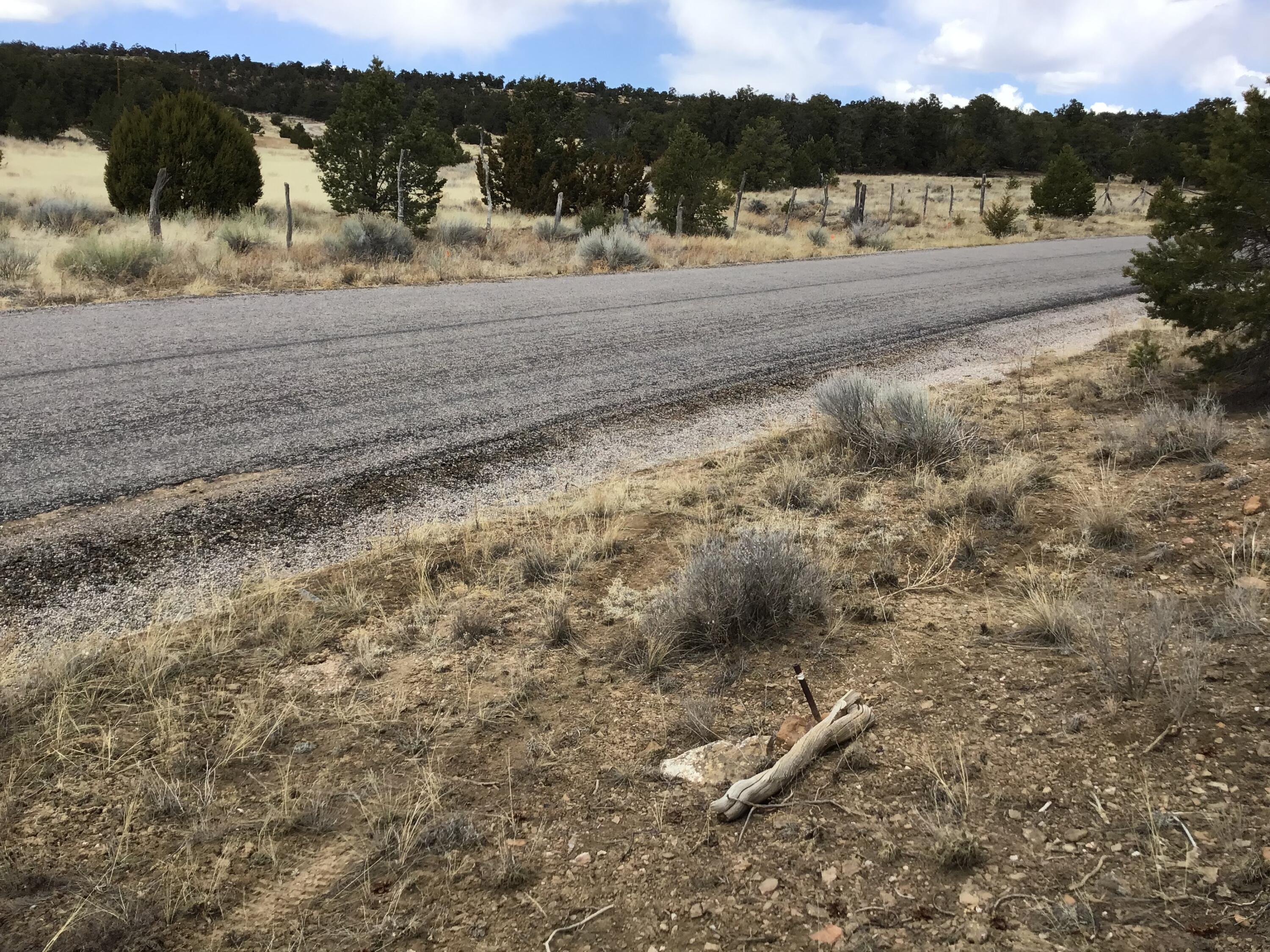 Lot 17 Candy Kitchen Road, Ramah, New Mexico image 27