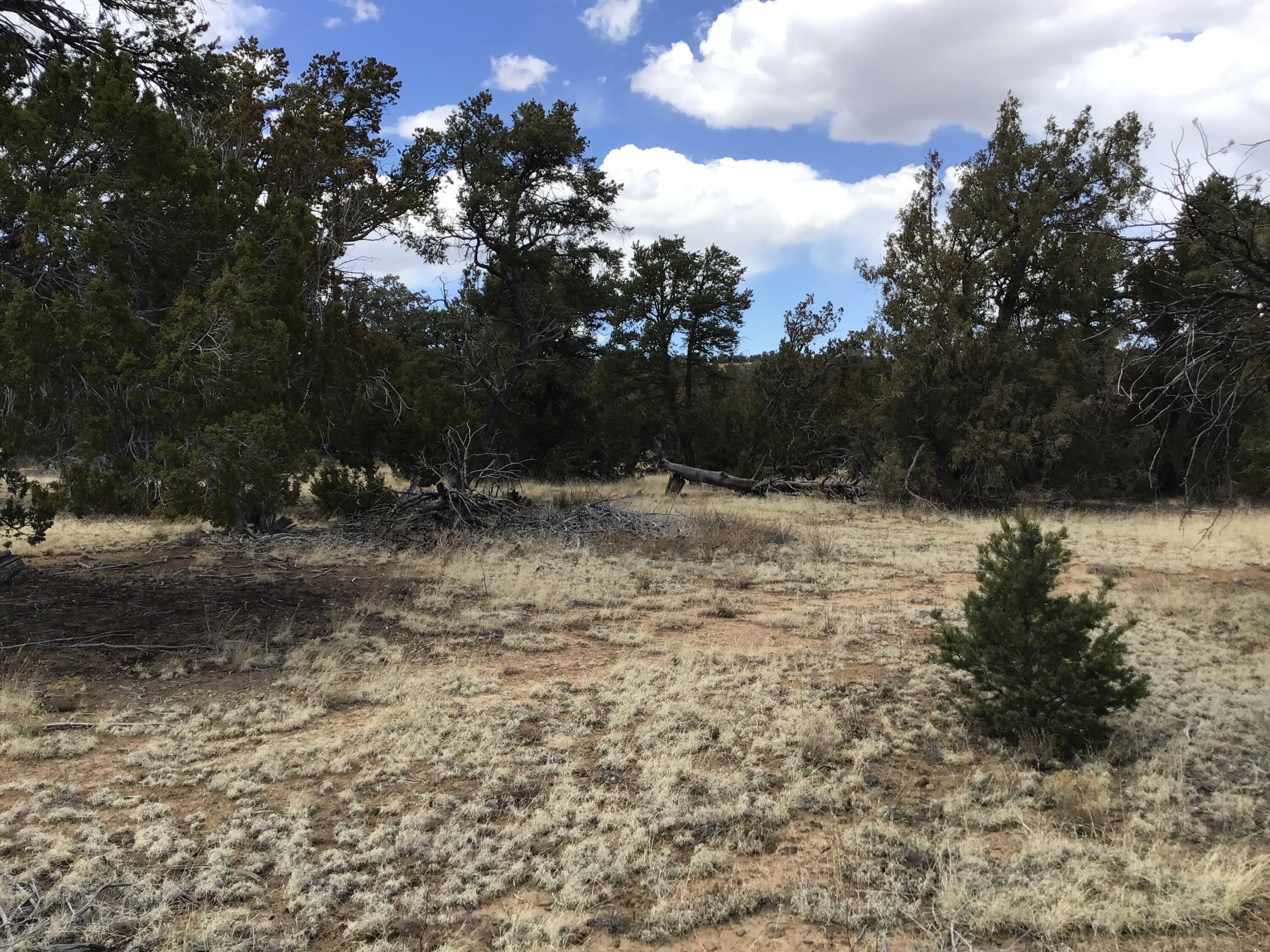 Lot 17 Candy Kitchen Road, Ramah, New Mexico image 20