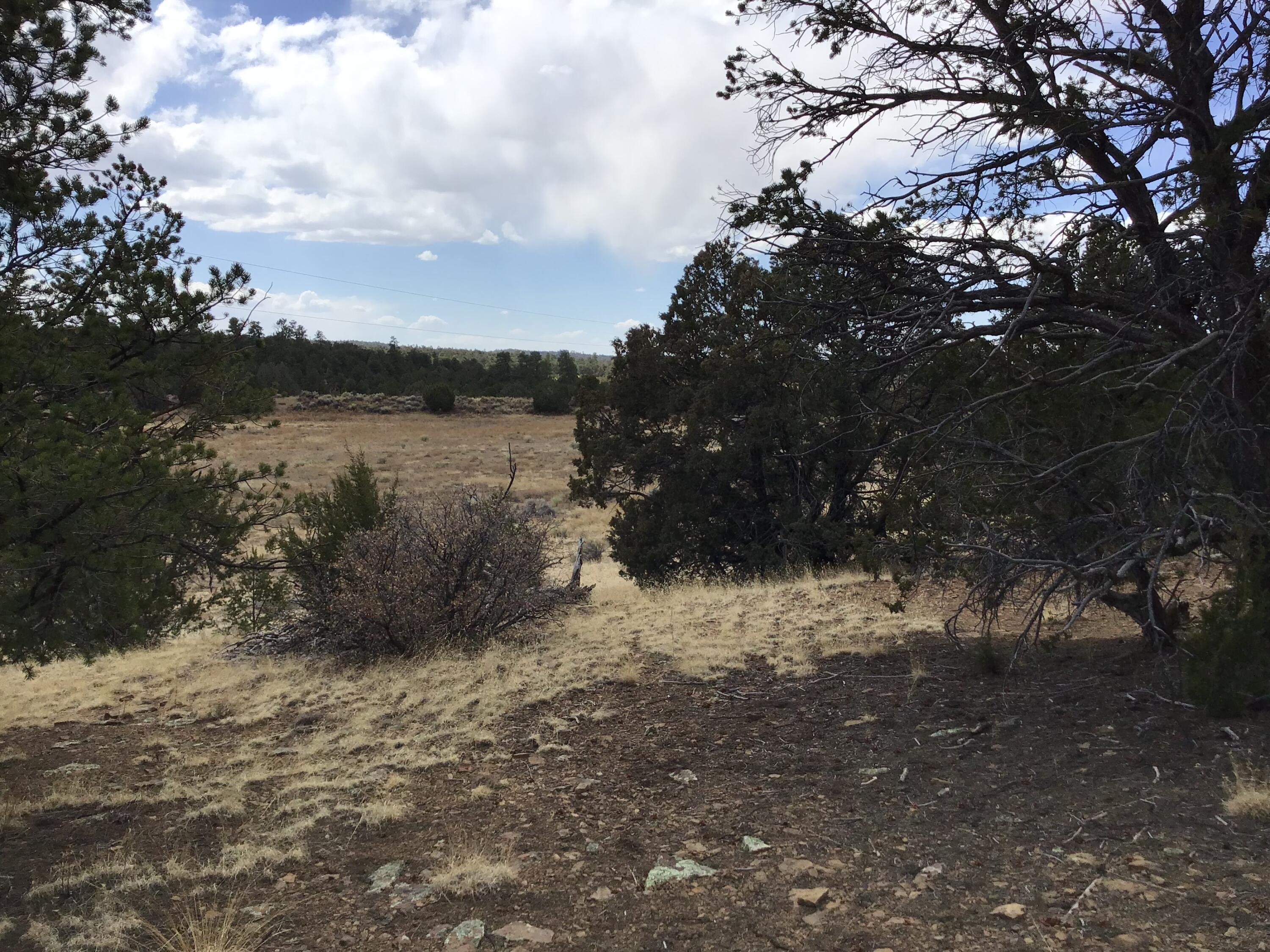 Lot 17 Candy Kitchen Road, Ramah, New Mexico image 18