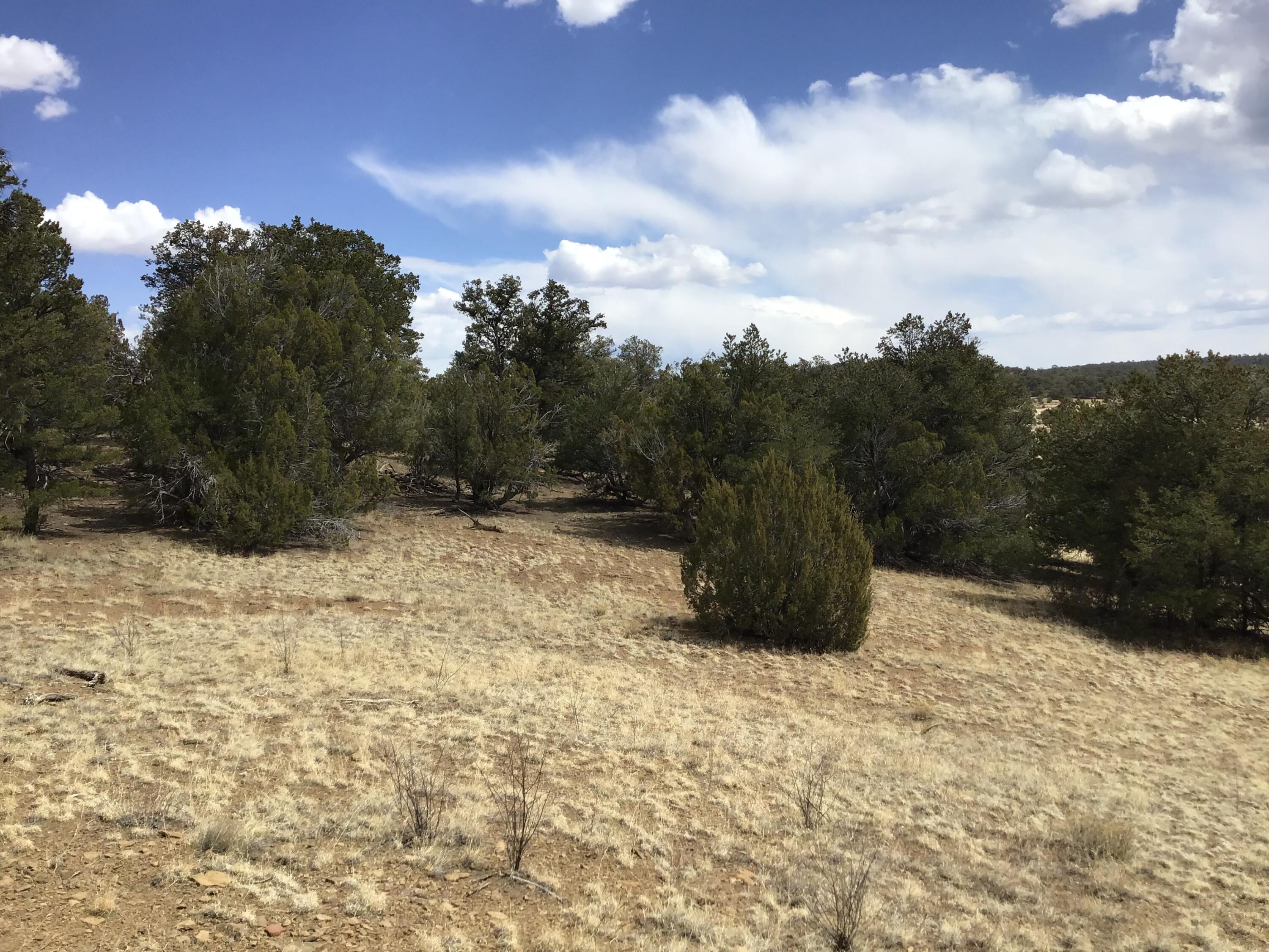 Lot 17 Candy Kitchen Road, Ramah, New Mexico image 5