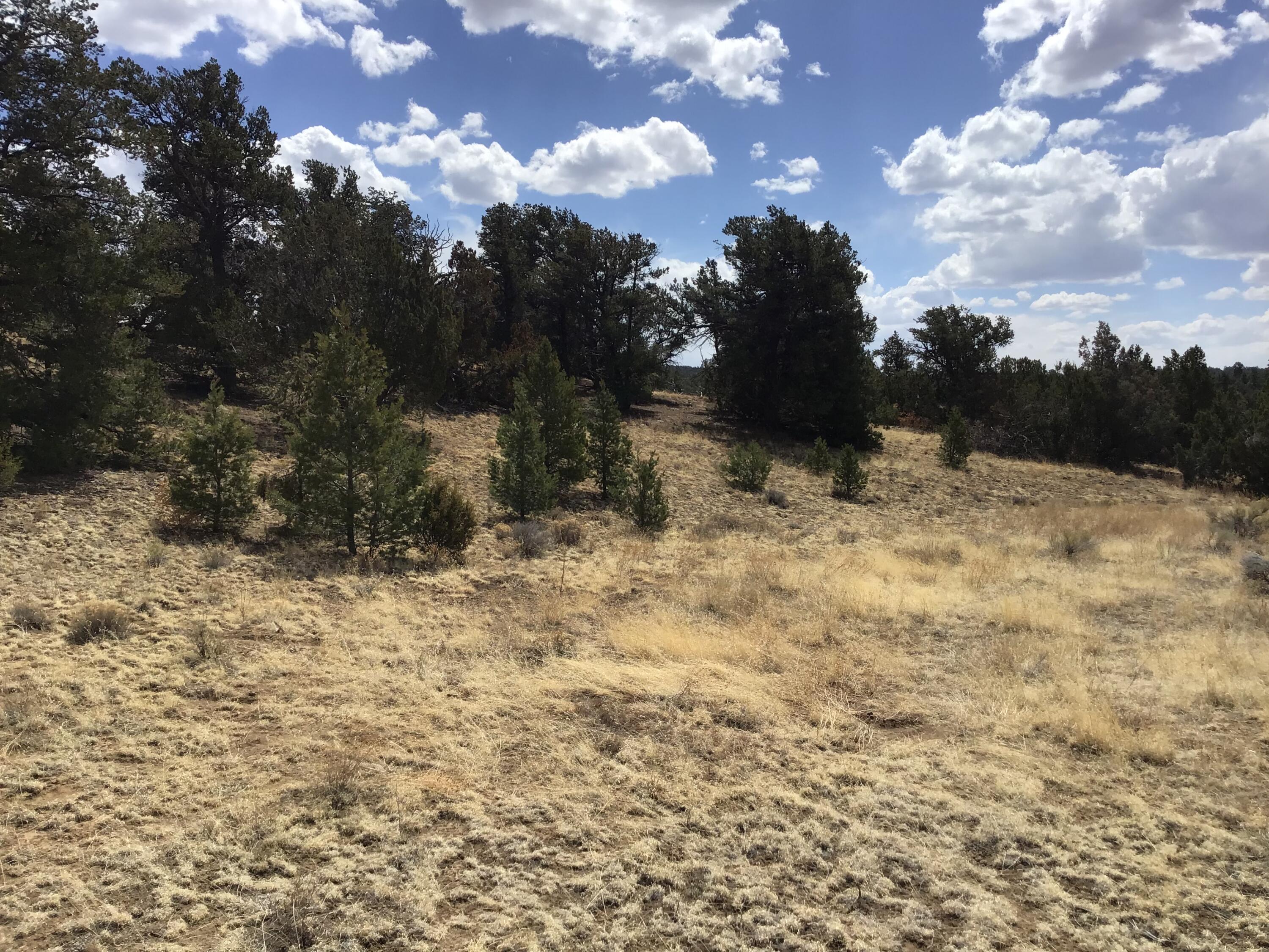 Lot 17 Candy Kitchen Road, Ramah, New Mexico image 3