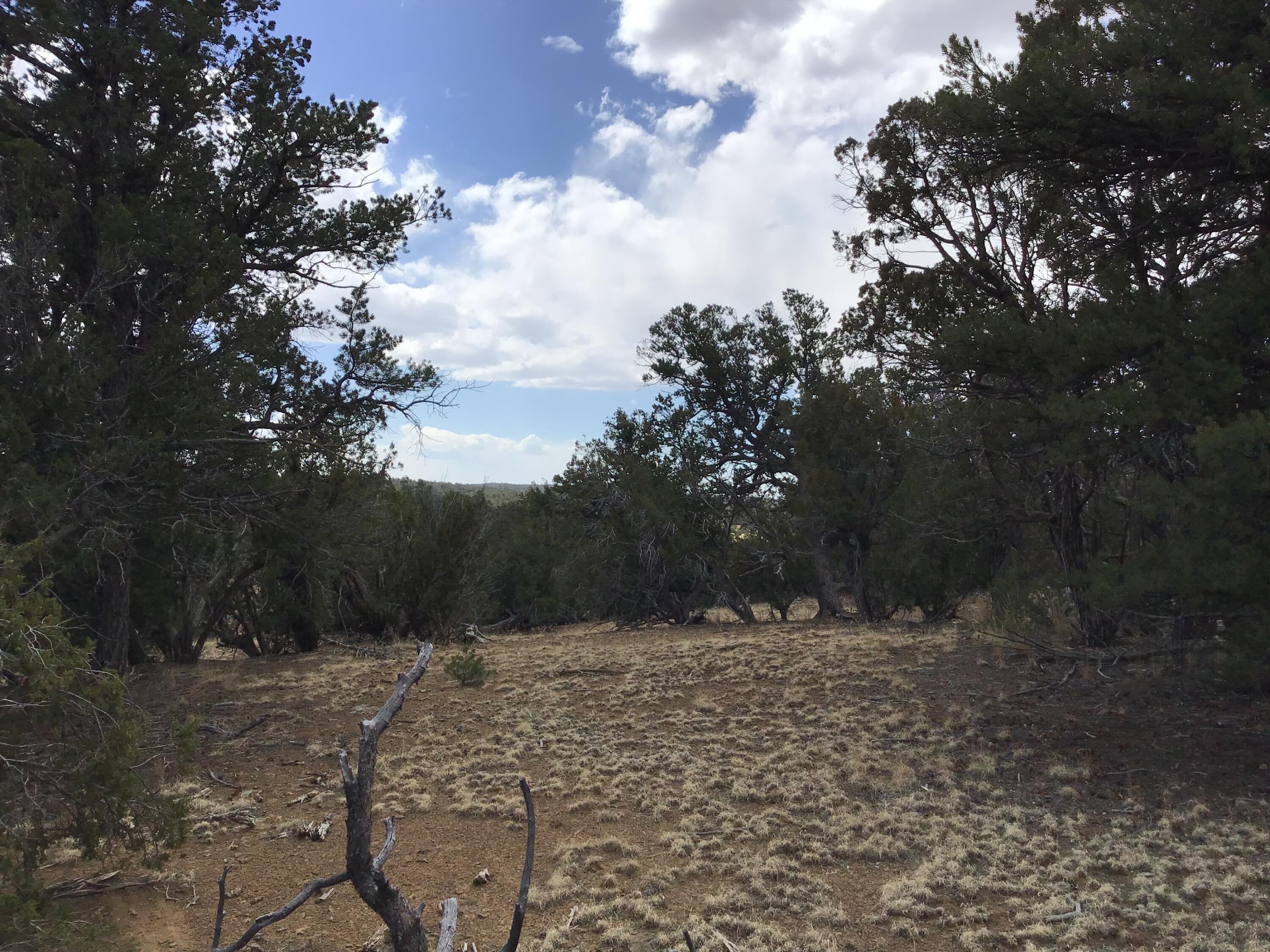 Lot 17 Candy Kitchen Road, Ramah, New Mexico image 19