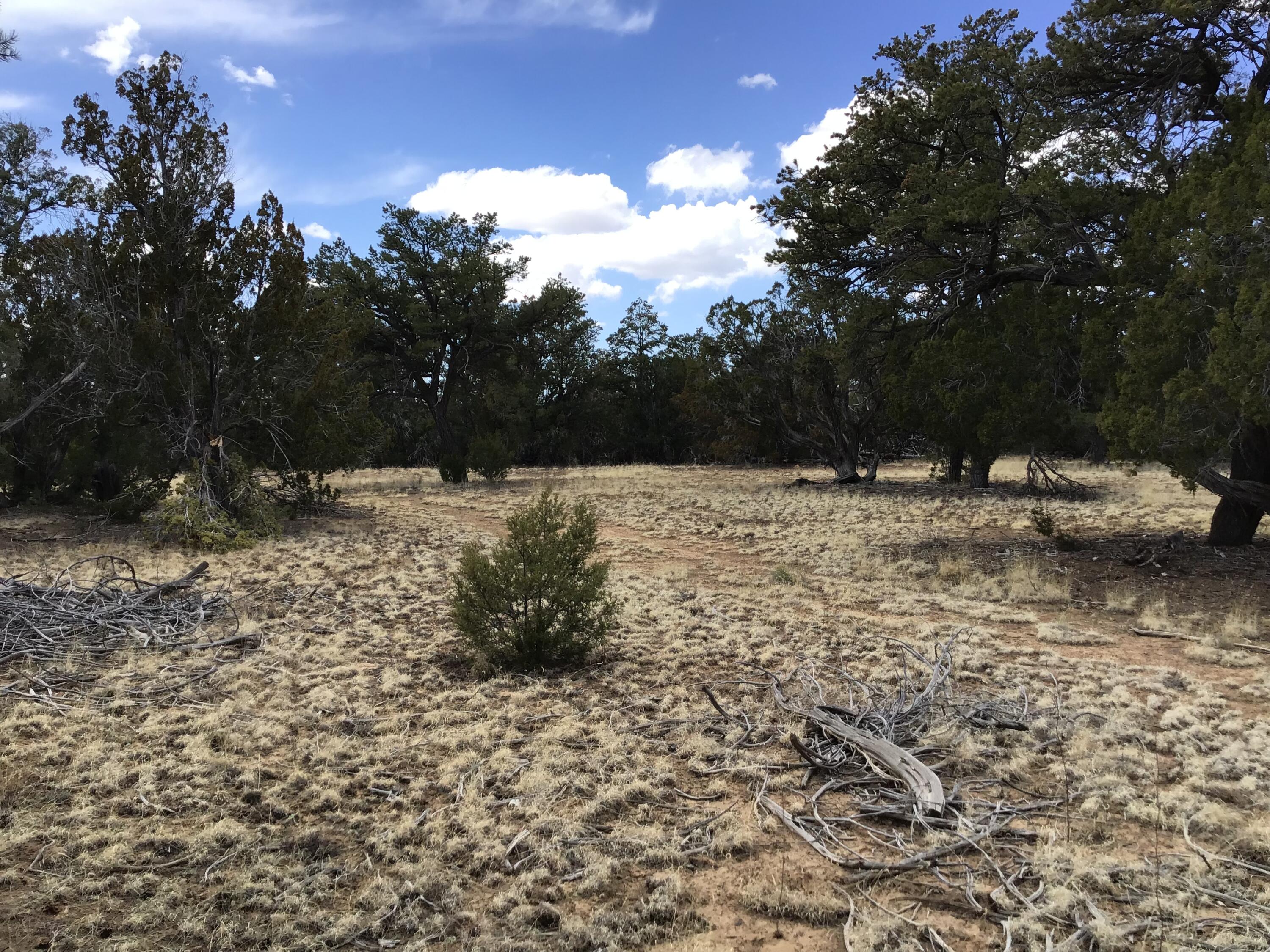 Lot 17 Candy Kitchen Road, Ramah, New Mexico image 1
