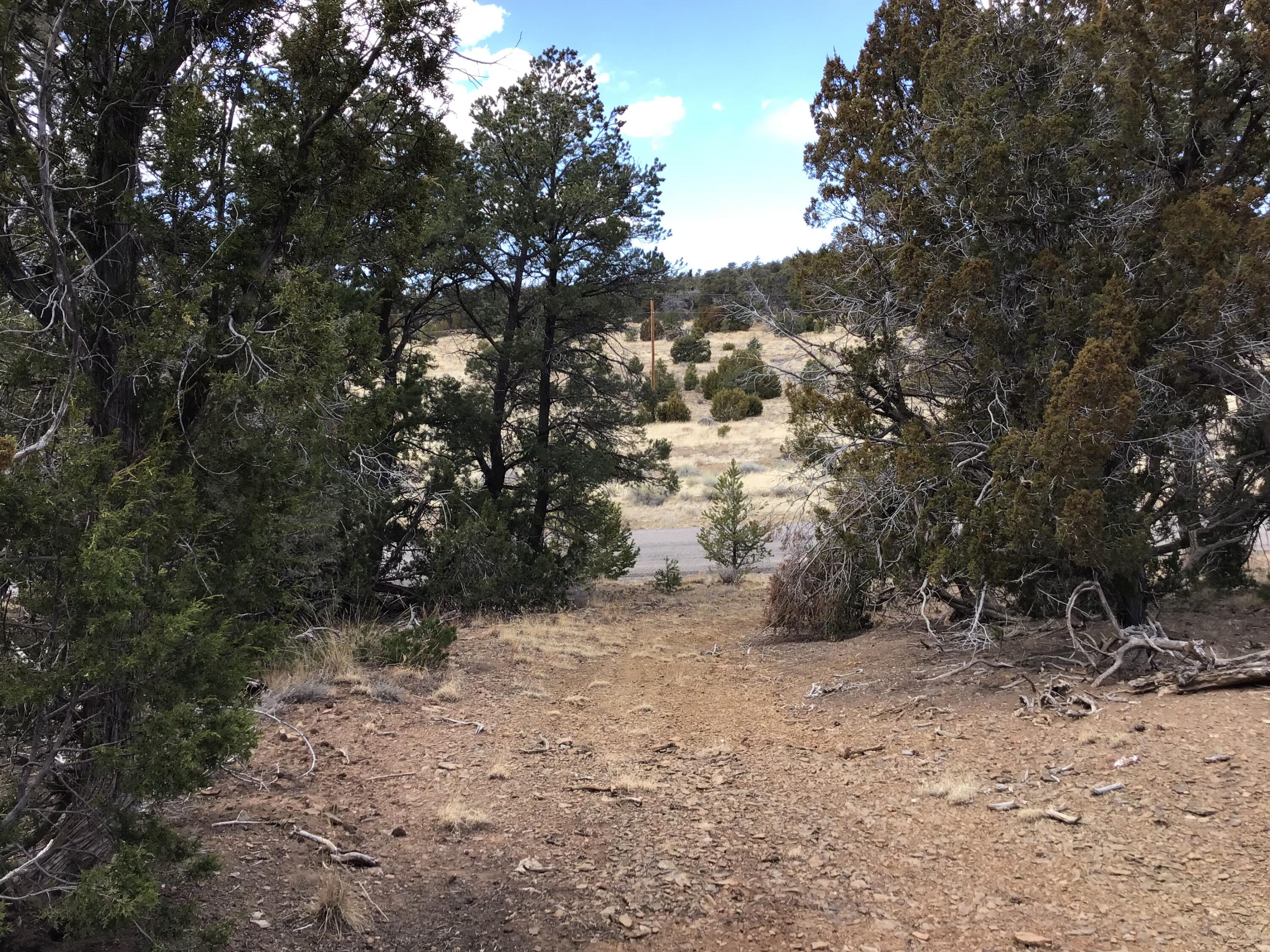 Lot 17 Candy Kitchen Road, Ramah, New Mexico image 25