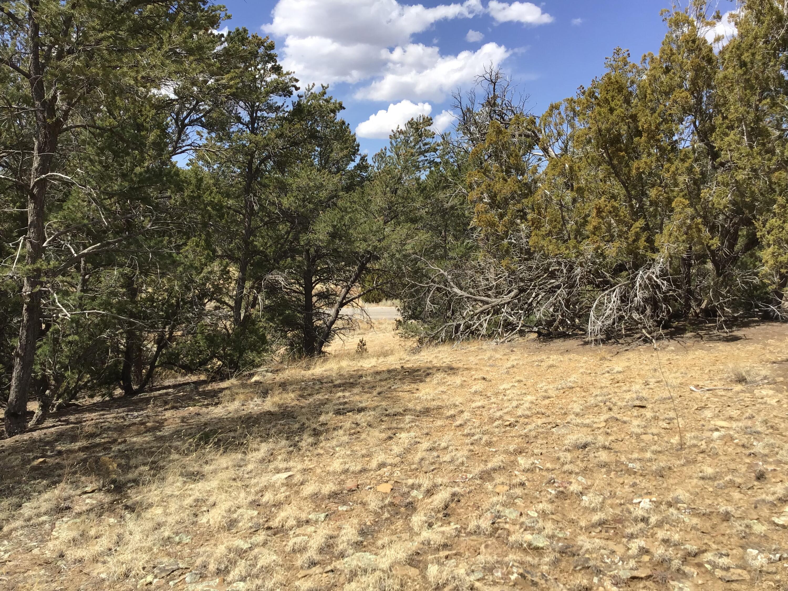 Lot 17 Candy Kitchen Road, Ramah, New Mexico image 32