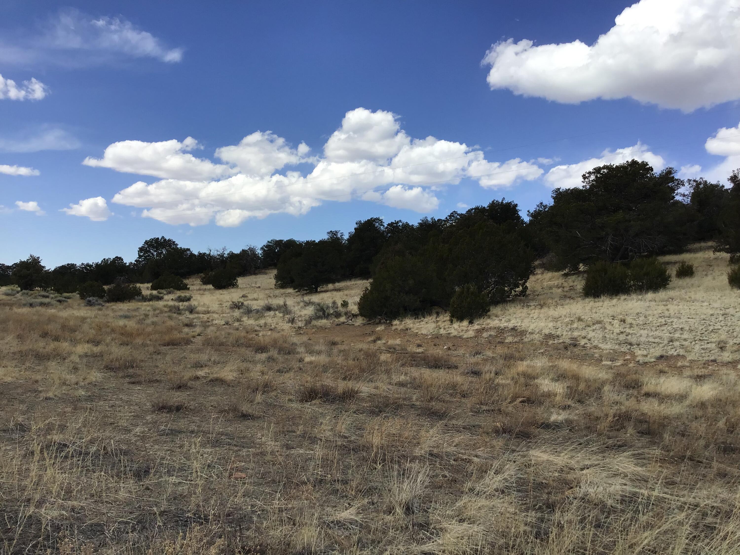 Lot 17 Candy Kitchen Road, Ramah, New Mexico image 16
