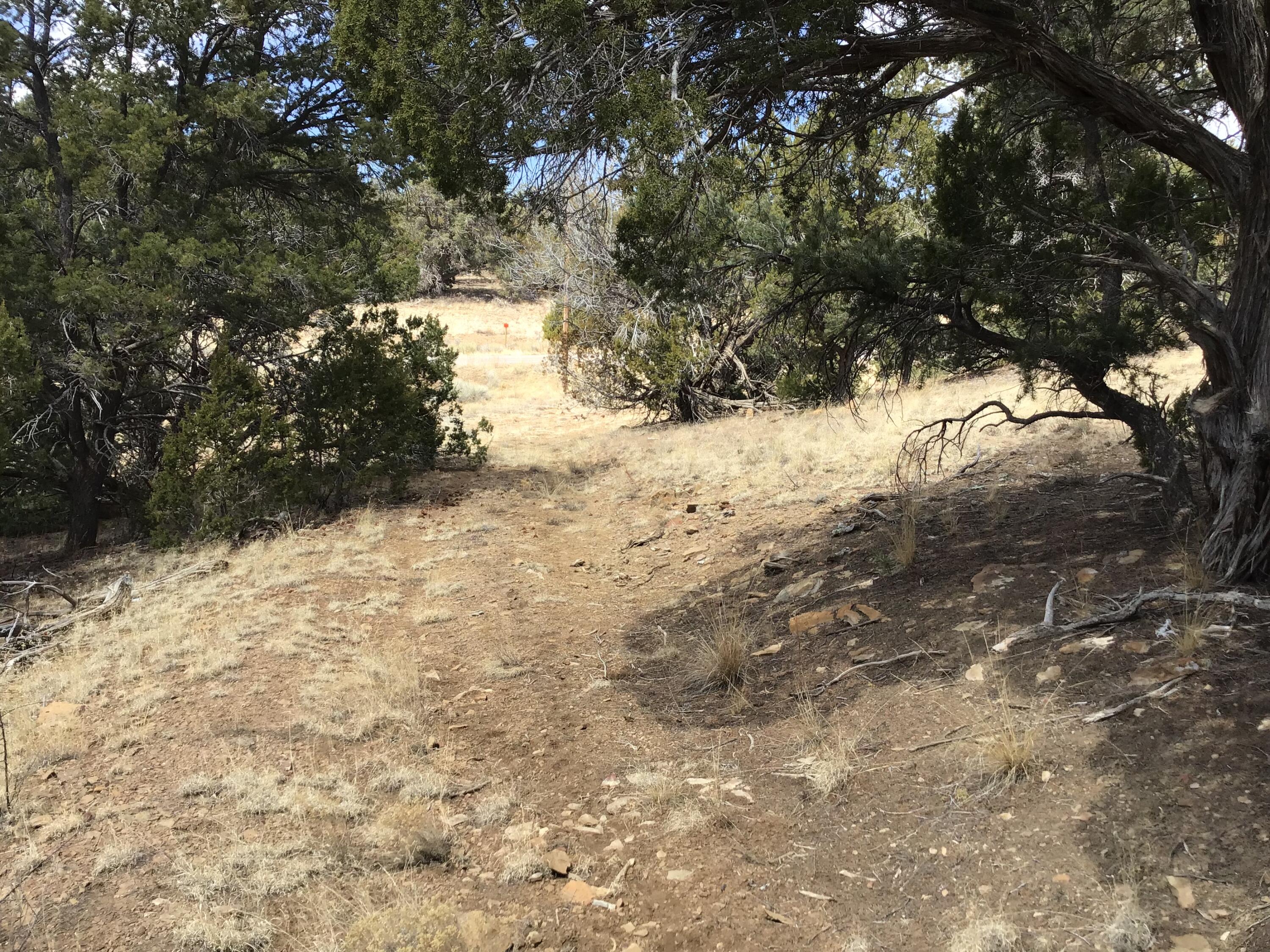 Lot 17 Candy Kitchen Road, Ramah, New Mexico image 35