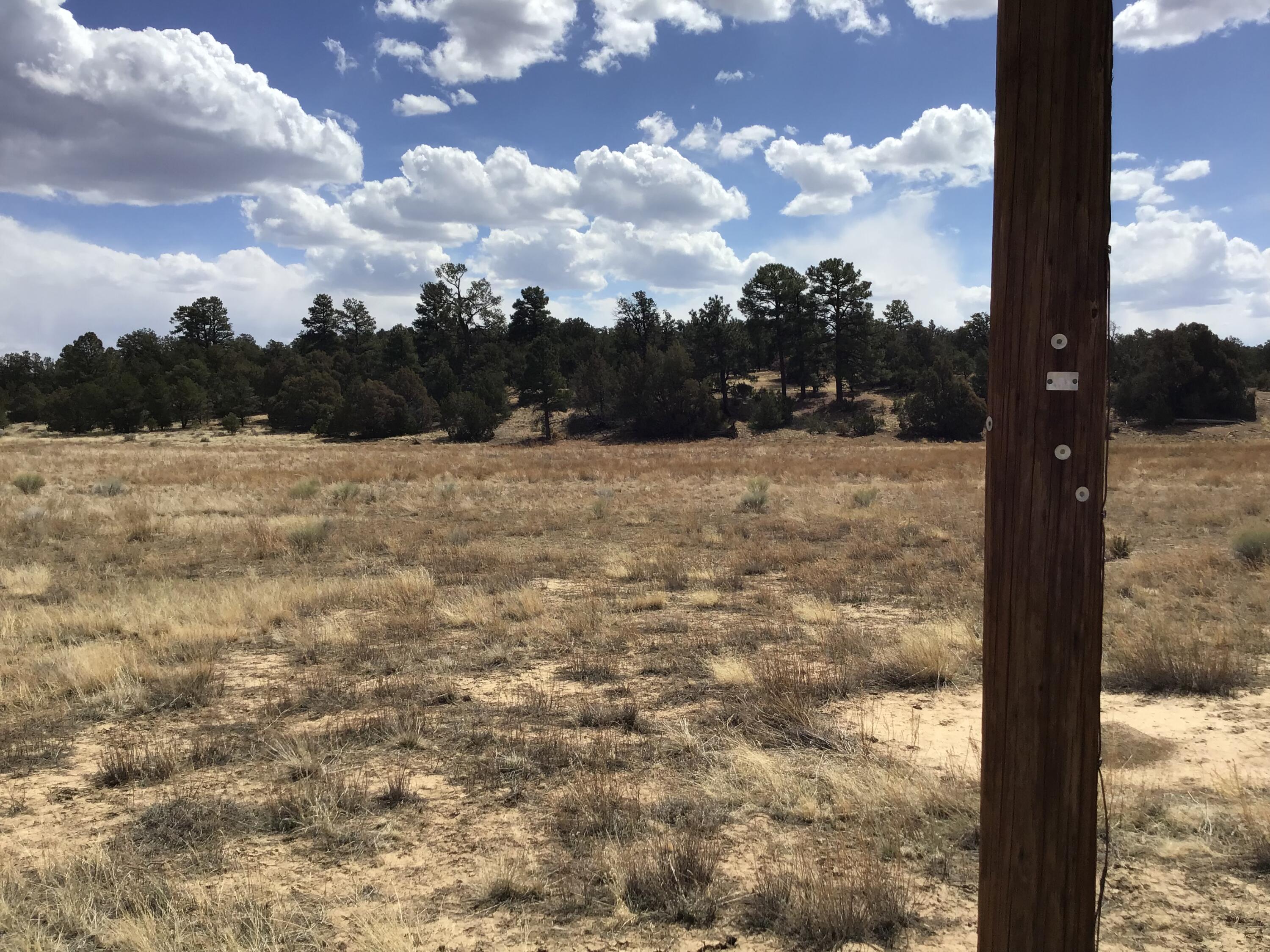 Lot 17 Candy Kitchen Road, Ramah, New Mexico image 6