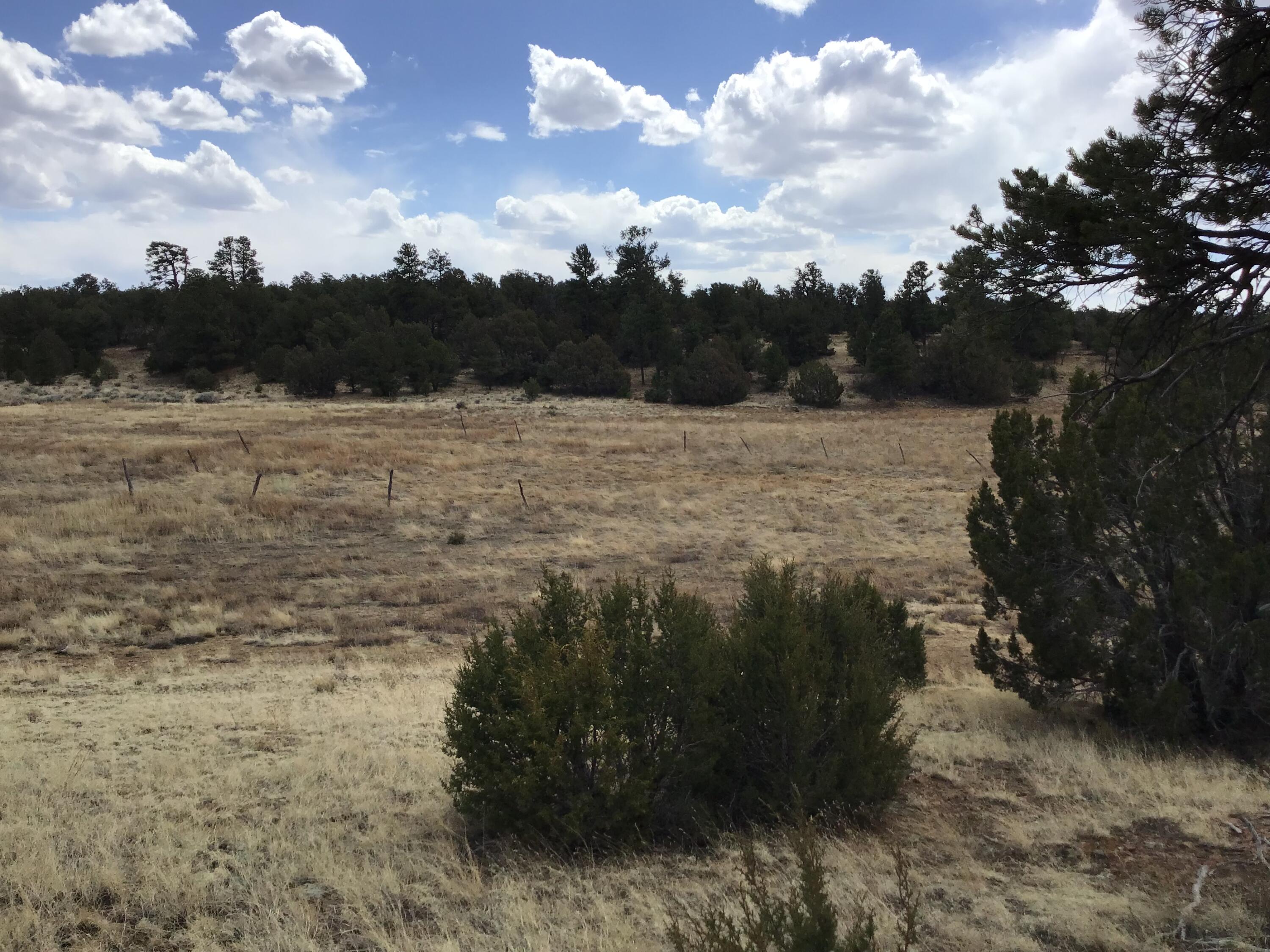 Lot 17 Candy Kitchen Road, Ramah, New Mexico image 17