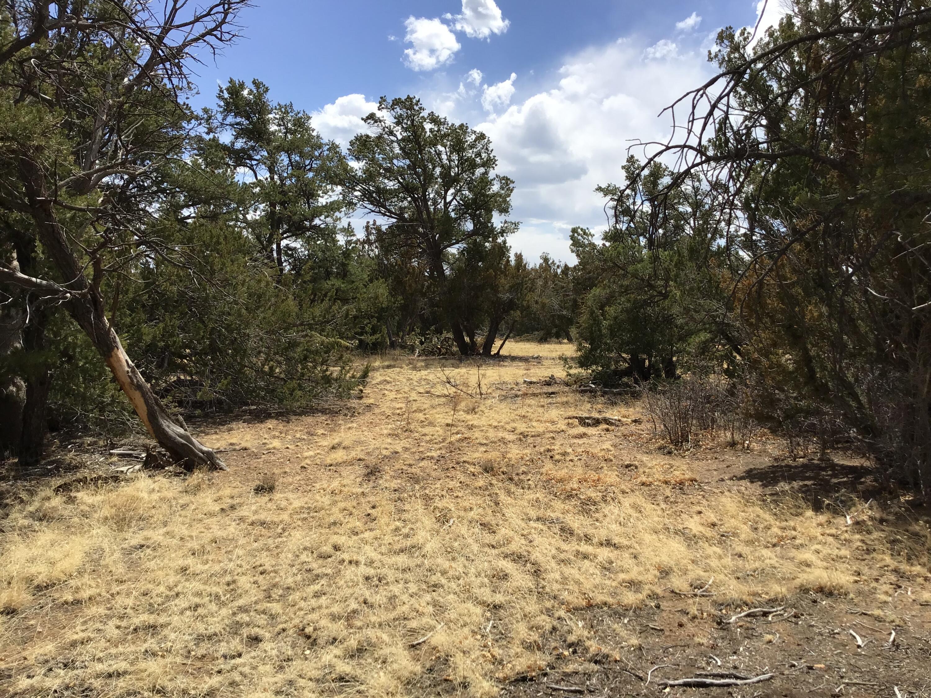 Lot 17 Candy Kitchen Road, Ramah, New Mexico image 29