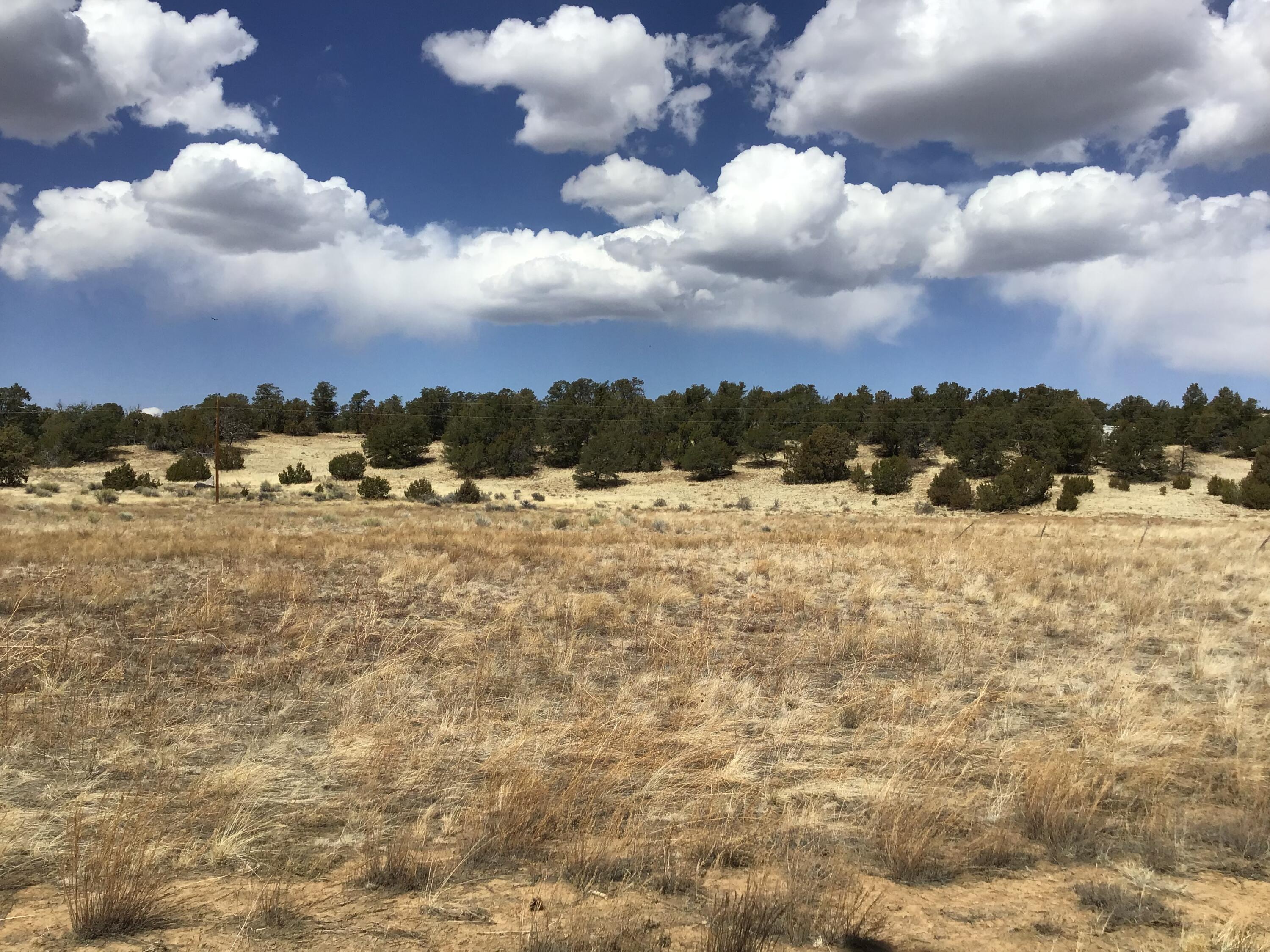 Lot 17 Candy Kitchen Road, Ramah, New Mexico image 8